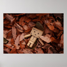 Couleur d'automne posters