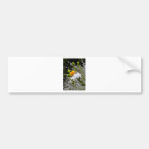 Couleur de ressort adhésif pour voiture