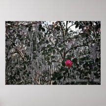 Couleur gelée posters