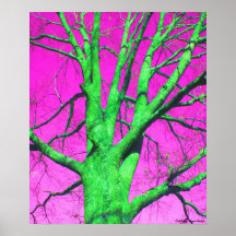 Couleur vivante affiche