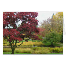 "Couleurs d'automne " Cartes De Vœux