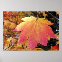 Couleurs d'automne posters