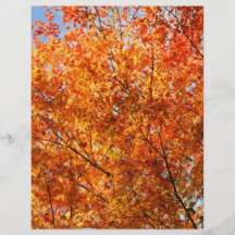 Couleurs d'automne prospectus
