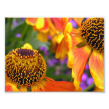 Couleurs de bonbons au maïs photographes