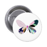 couleurs de papillon badge avec épingle