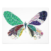 couleurs de papillon bristols