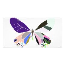 couleurs de papillon cartes de vœux avec photo