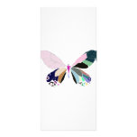 couleurs de papillon modèle de carte double