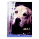Coup manqué mignon de chien vous design de carte