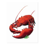 Coupe-circuit vintage de homard cartes postales