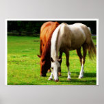 Couples Biracial de cheval Posters
