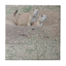 Couples de chien de prairie carreau en céramique