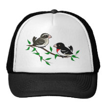 Couples de gros-bec de Rose-breasted Casquettes De Camionneur