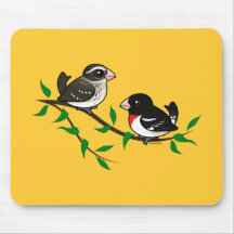 Couples de gros-bec de Rose-breasted Tapis De Souris