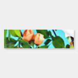 Couples des bourgeon floraux adhésifs pour voiture