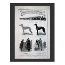 Coupure vintage de nouvelles de lévrier carte postale
