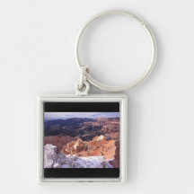 Coupures de cèdre porte-clefs