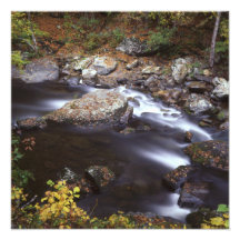 Courant dans le Smokies Impression Photographique