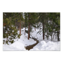 Courant de forêt d'hiver art photographique