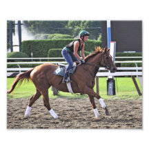 Coureur de Bill Mott Impressions Photo