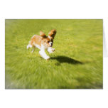 Courez le chiot couru dans la carte de voeux de ya