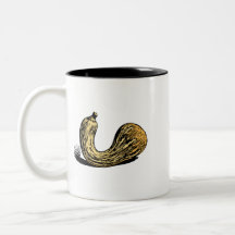Courge de Crookneck jaune Tasse À Café