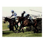 Course de chevaux cartes postales