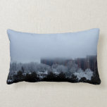 Coussin lombaire de brouillard hivernal
