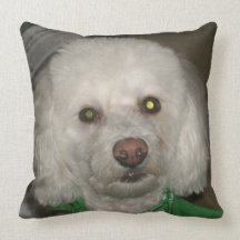 Coussin vigilant de chien