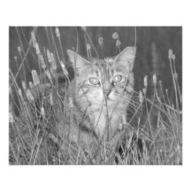 Couverture 2013 - B&W Tirage Photo