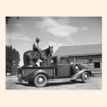 Cowboy avec le cheval dans un camion cartes postales