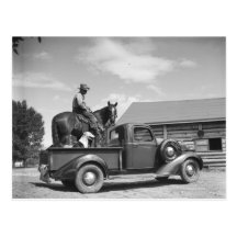 Cowboy avec le cheval dans un camion cartes postales