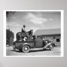 Cowboy avec le cheval dans un camion posters