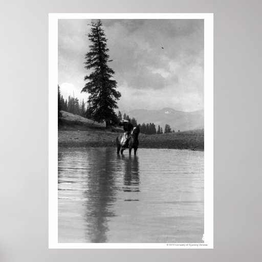 Cowboy dans un étang posters