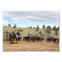 Cowboy Roping à stigmatiser 5x7 Photographe