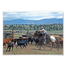 Cowboy Roping dans les Rocheuses 5x7 Photo