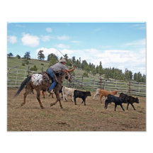 Cowboy Roping l'Appaloosa 11x14 Photographie D’art