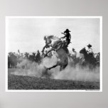 Cowboy sur cheval sauvage s'opposant affiches