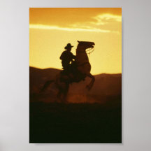 Cowboy sur élever le cheval affiches