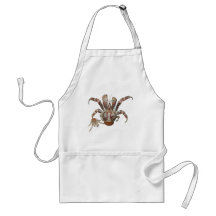 Crabe de cocotiers sauvage des Caraïbe Tabliers