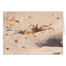 Crabe de sable carte de vœux