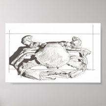 Crabe Posters