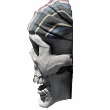 Crâne de pirate photo sculptures
