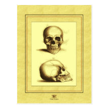 Crânes antiques jumeaux cartes postales