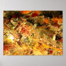 Créatures du profond posters