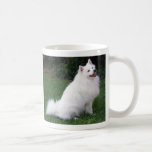CRÉEZ VOTRE PROPRE PHOTO D'ANIMAL FAMILIER MUGS