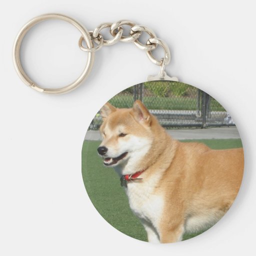 CRÉEZ VOTRE PROPRE PHOTO D'ANIMAL FAMILIER PORTE-CLEFS