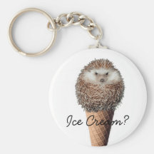 Crème glacée de hérisson porte-clefs