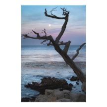 Crépuscule Photo