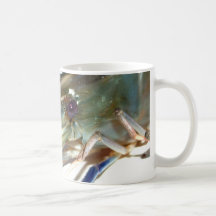 crevette mug à café
